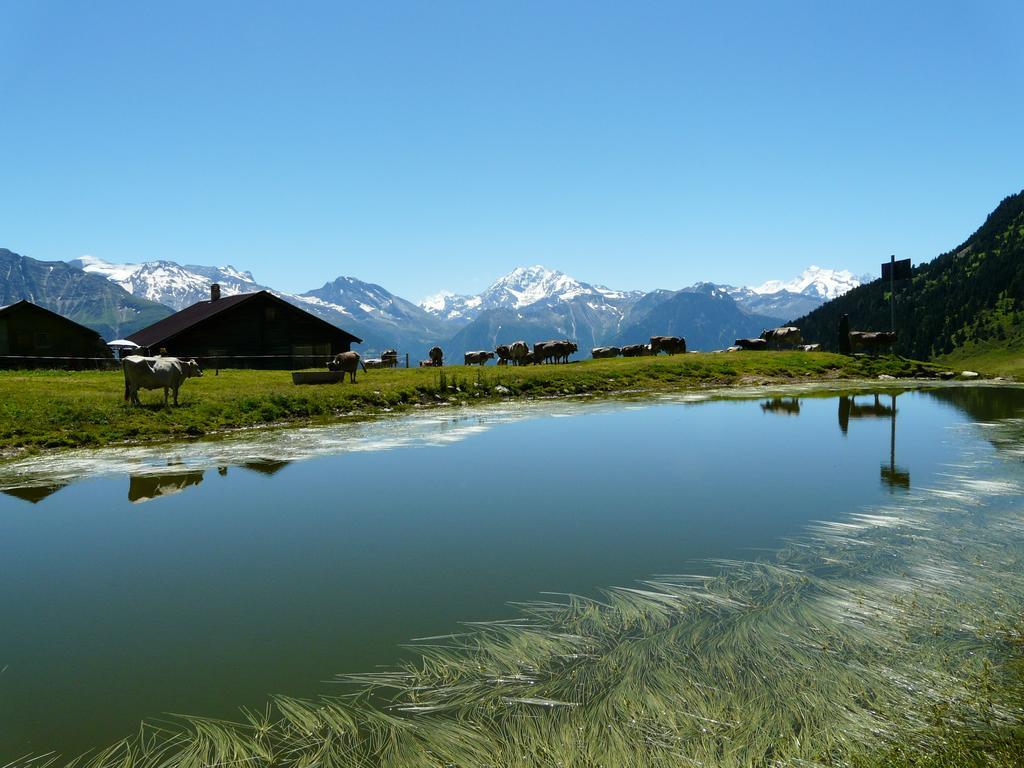 Chalet Enzian Рідеральп Екстер'єр фото